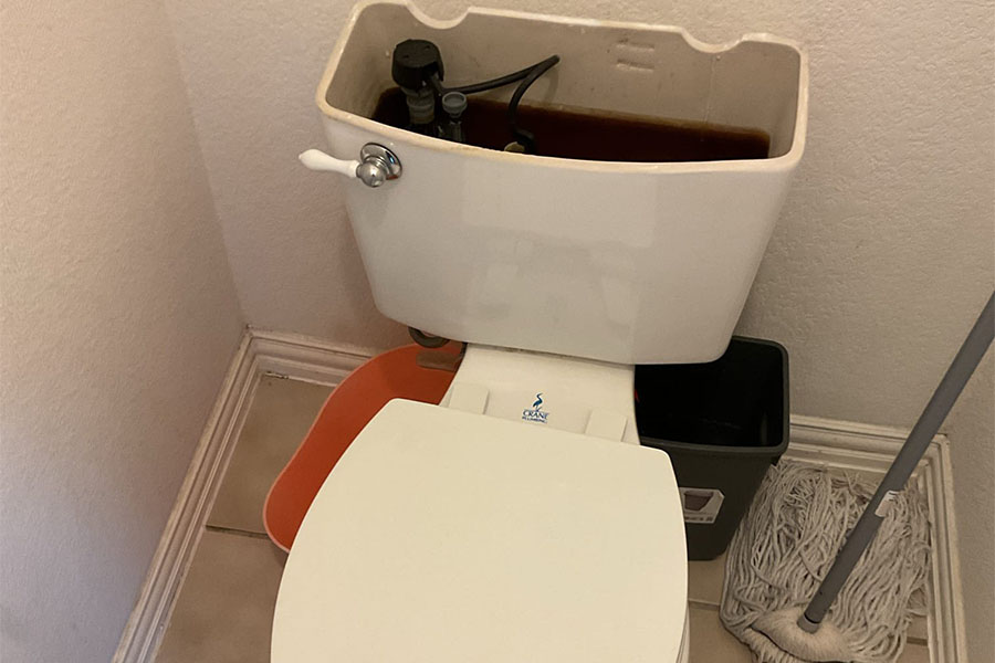 Professional toilet plumbing service in bathroom