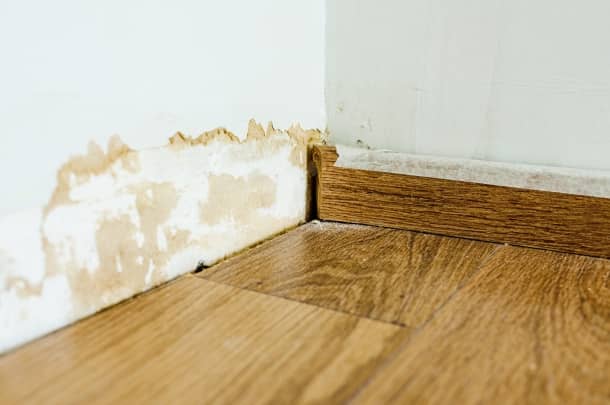 Mold on drywall mean slab leak repair pic