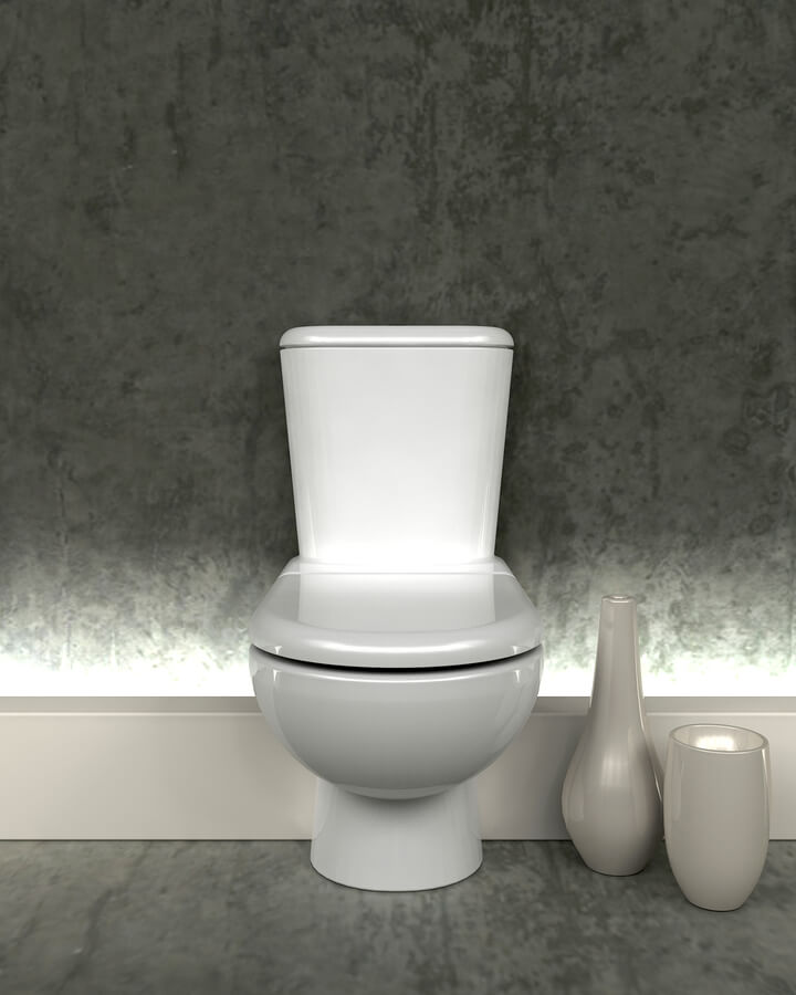 modern white toilet in gray room next to two vases